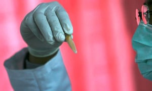 Bird flu: how two mutant strains led to an international controversy