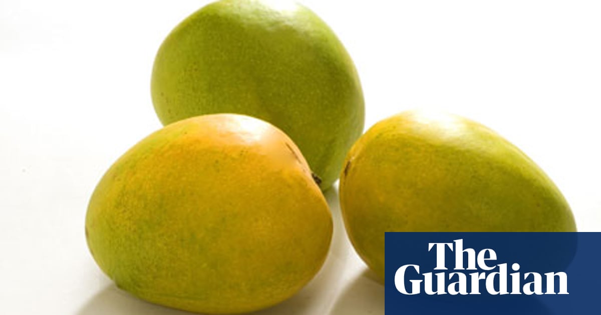 14+ Mango Fruit Pic Gif