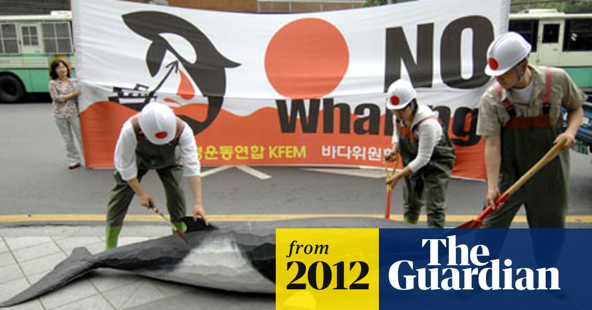 South Korea Whaling The Rise of 'Whaling': Why High-Net-Worth Individuals are the New Primary Targets