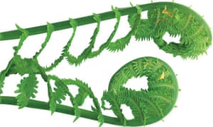 Gardens: ferns | Life and style | The Guardian