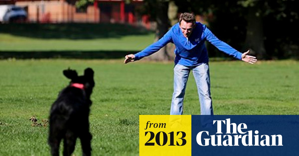 Hearing Impaired Dog Training: Techniques for Success