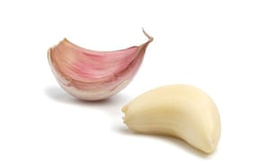 Garlic cloves … do you know your varieties?