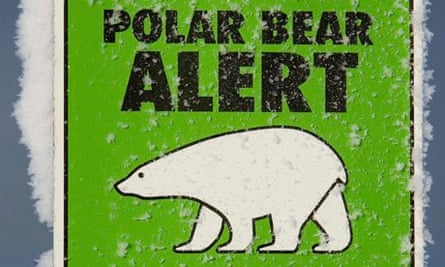 One of many polar bear alert warning sig