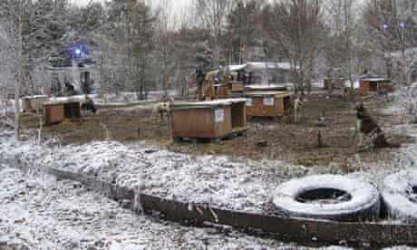 Image: https://i.guim.co.uk/img/static/sys-images/Guardian/About/General/2013/12/16/1387199102915/Lapland-New-Forest-2008-009.jpg?width=300&quality=45&auto=format&fit=max&dpr=2&s=95014423b3ac480e2e4070dab5c43485 Is Milton Keynes39s Winter Wonderland the worst-ever Christmas attraction Christmas The Guardian