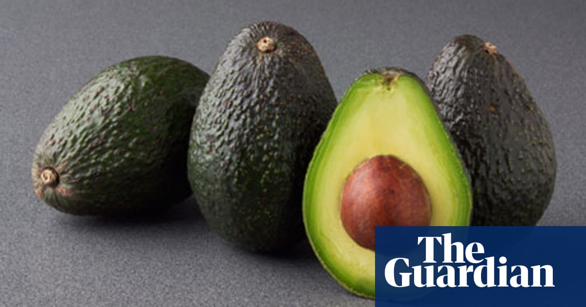 The Myth Of The Ripe And Ready Range Avocados The Guardian The Myth Of The Ripe And Ready Range Avocados The Guardian