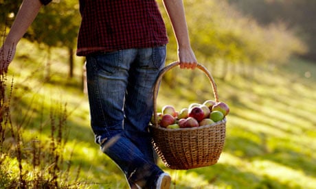 Atkinson's Cornish Orchards … at the heart of the region's food revolution.
