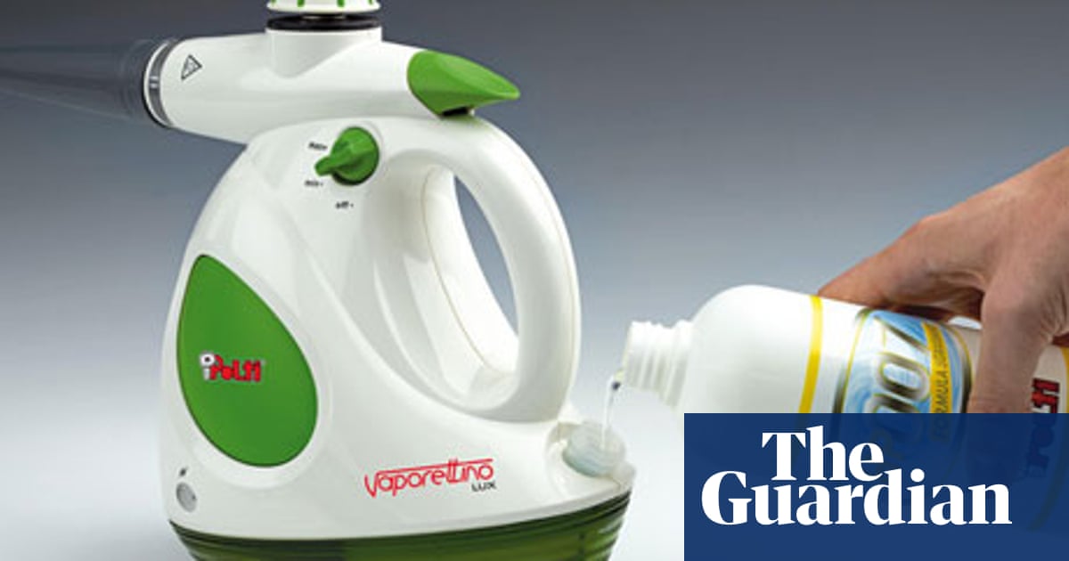Steam Cleaners A Buying Guide Money The Guardian