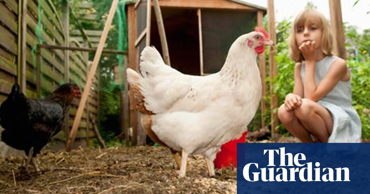 Animals know more than you think | Animal behaviour | The Guardian