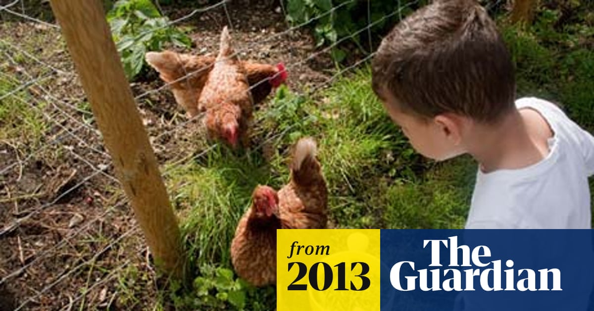 Can Chickens Eat Kitchen Scraps: Essential Tips for Safe Feeding