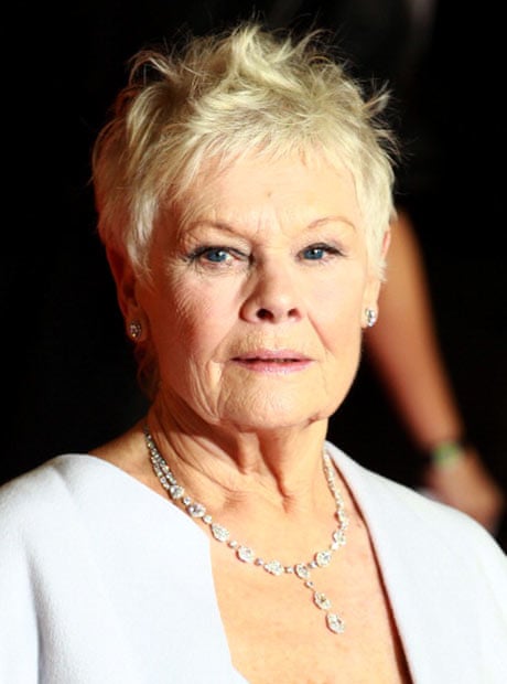 Judi Dench Haircut Instructions - what hairstyle is best for me
