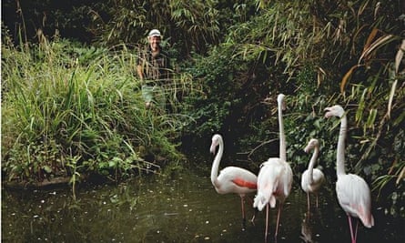 How Does Your Garden Grow The Head Gardener Kensington Roof Gardens Gardens The Guardian
