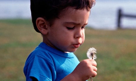 Little boy holding a dried up dandelion and blowing the seeds into the wind
