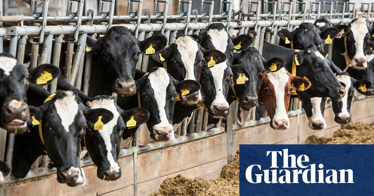 The Battle For Soul Of British Milk, What Equipment Is Needed For A Dairy Farm