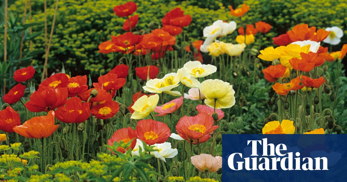 Gardens Let Biennials Plug The Gap Gardens The Guardian