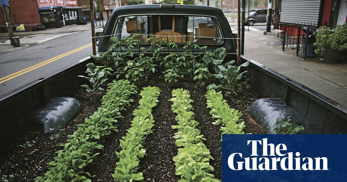 Gardens Great Harvests From Tiny Plots The Guardian Gardens Great Harvests From Tiny Plots, Garden Structures For Climbing Vines Crossword