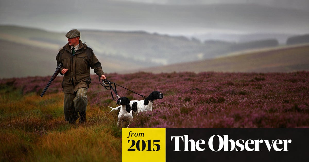 Peatlands burn as gamekeepers create landscape fit for grouse-shooting |  Conservation | The Guardian