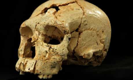 Prehistoric Bones Found In Spain Are Ancestors Of Neanderthals