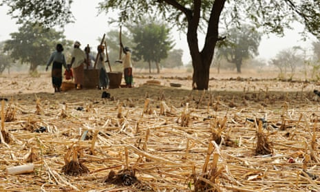 Women pound millet in the Sahel region, which is facing food insecurity as a result of the changing climate.