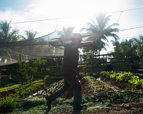 Cuba organic farmer