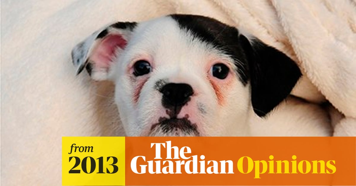 Why we see Hitler's face on a puppy