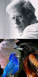 Composer Jonathan Harvey (top) and the birds which inspired his Bird Concerto with Piano Song