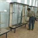 Empty shelves in Baghdad museum