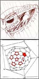 Sketch of an intra-ventricular path by surgeon Francis Wells (top) and drawing of a molecule by chemist Sir Harry Kroto
