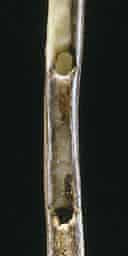 Ice age flute
