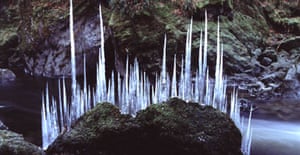 Andy Goldsworthy, Albion, London | Art and design | The