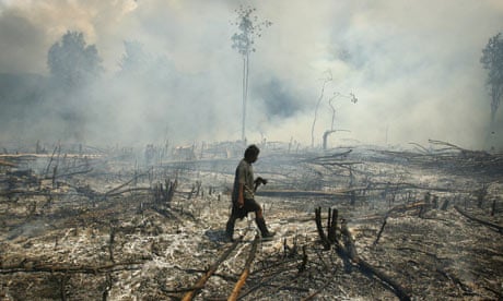 A villager walks through a burnt forest in Tojo