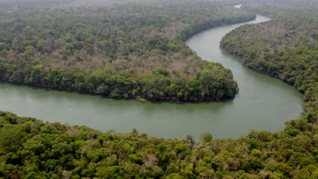 How Brazil is halting deforestation in the Amazon - video