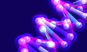 Oxytocin Found To Stimulate Social >> The Moral Molecule How Oxytocin Can Revolutionise Your Oxytocin Found To Stimulate Social >> The Moral Molecule How Oxytocin Can Revolutionise Your