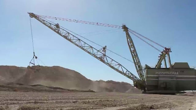 Western Sahara: who benefits from exporting fish and phosphates? – video | Global development | The Guardian