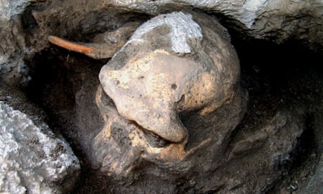 https://i.guim.co.uk/img/static/sys-images/Guardian/Pix/audio/video/2013/10/16/1381949658915/Skull-011.jpg?w=460&q=55&auto=format&usm=12&fit=max&s=f725c0a300ee0f59ebd53027b0d214ae