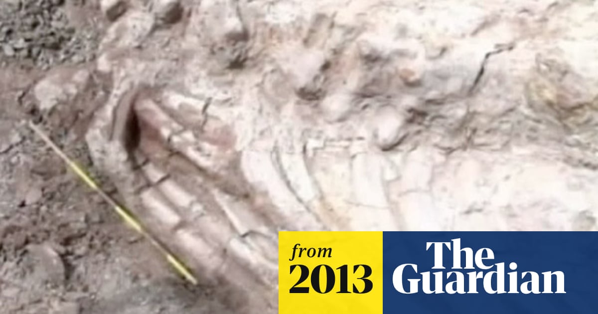 Plesiosaur dinosaur fossil believed to be 130m years old found in Colombia – video report