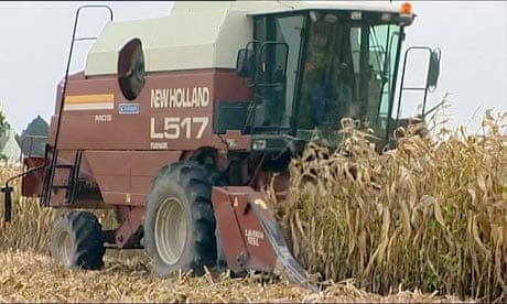 GM crops back on the agenda in Brussels - video