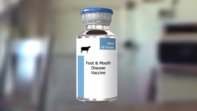 Global Foot and Mouth Disease Vaccines Market $1.5 Billion by 2034