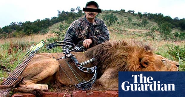 Canned hunting': the lions bred for slaughter | Wildlife | The Guardian