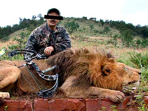 Lions bred to be shot in South Africa's 'canned hunting' industry - video |  Environment | The Guardian