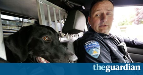 Become trainer for drug sniffing dogs