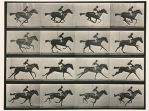 A series of photographs showing a horse galloping by Eadweard Muybridge (1830 - 1904)