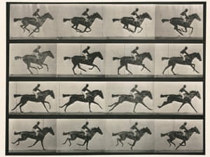 Image result for eadweard muybridge