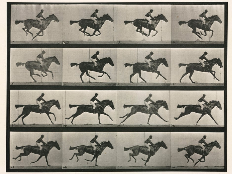 'Animal Locomotion (Plate 626)'. Sequence with jockey on horseback by Eadweard Muybridge (1830 - 1904), English-born American photographer and inventor Illustration: SSPL/Getty