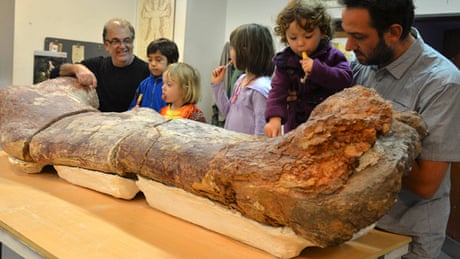 Fossilised bones of sauropod, the largest-ever dinosaur, go on display in  Argentina – video | Science | The Guardian