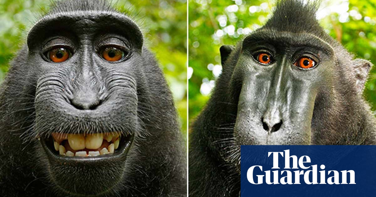 Monkey Selfie Square Sticker