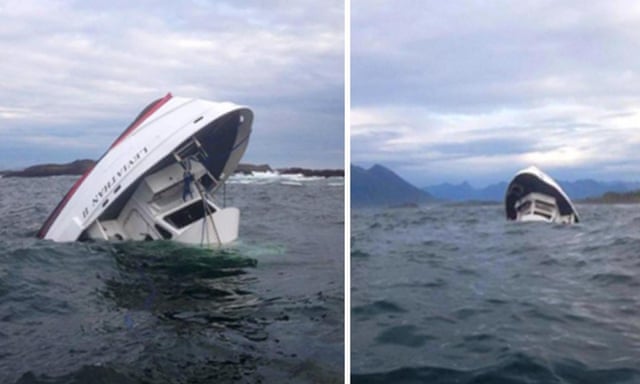 Five Dead As Whale Watching Boat With 27 On Board Sinks Off Vancouver Island