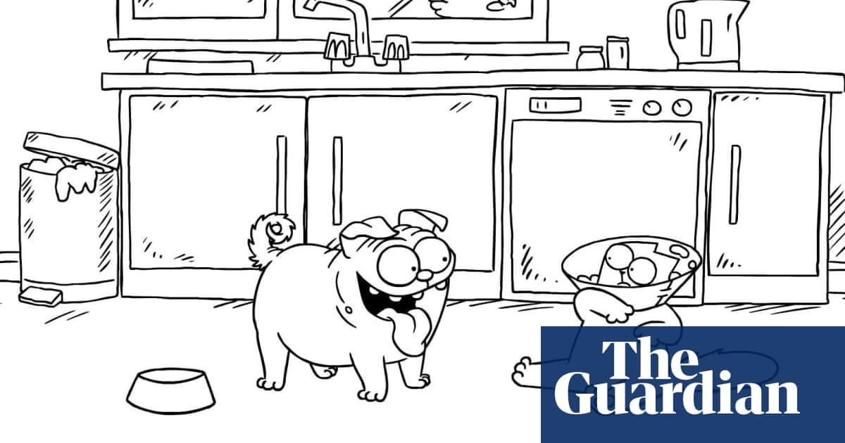 Simon S Cat Off To The Vet And Other Cat Astrophes Video Books The Guardian