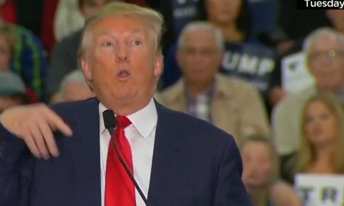 Donald Trump Mocks Reporter With Disability Video Us News The Guardian