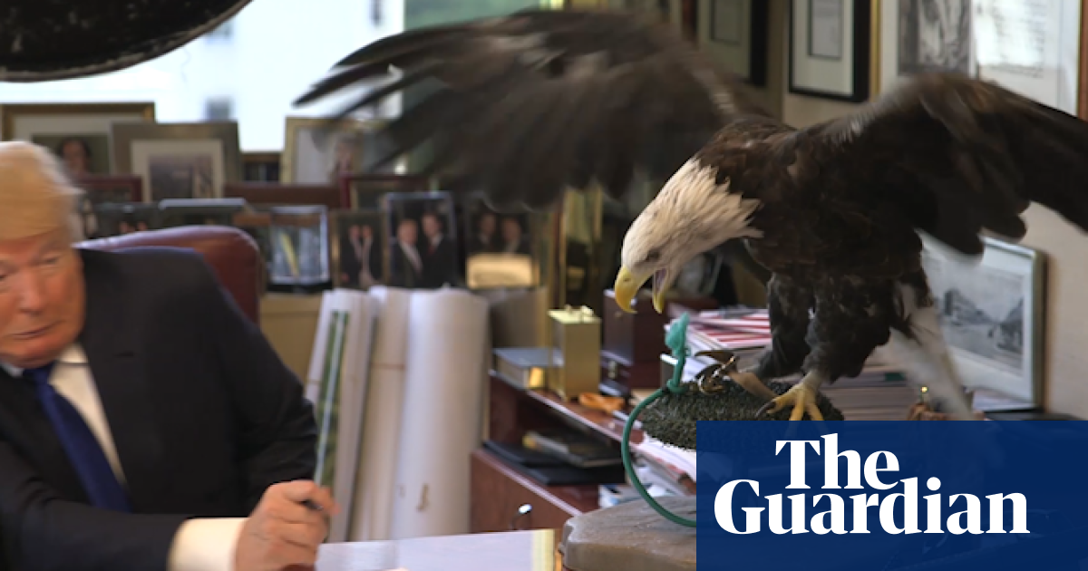 Donald Trump Mocked After Seemingly Confusing Bald Eagle