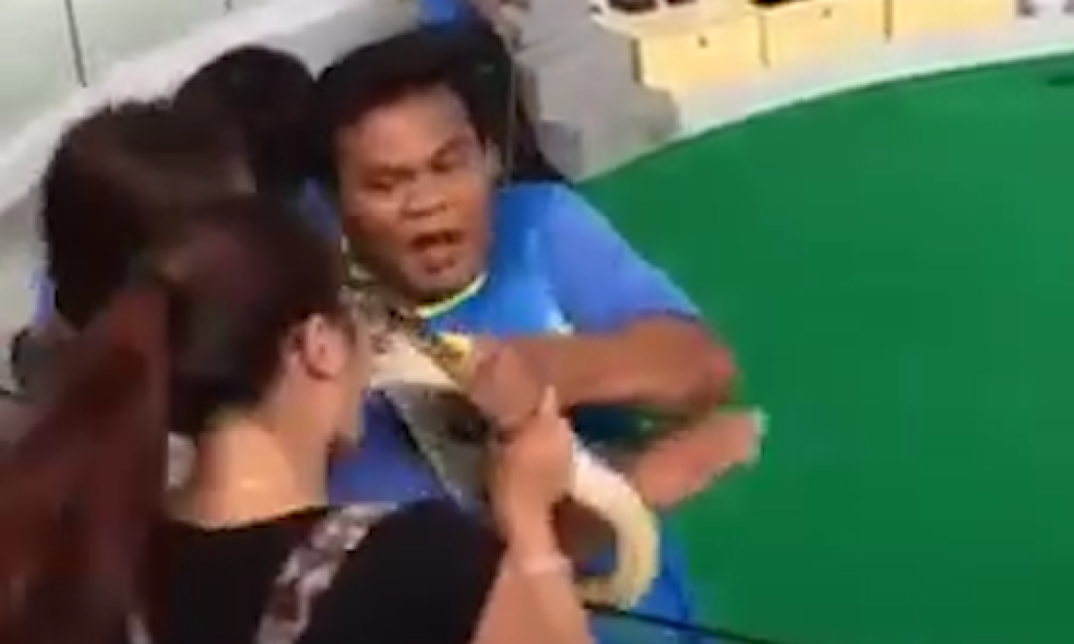 укусы в тайланде